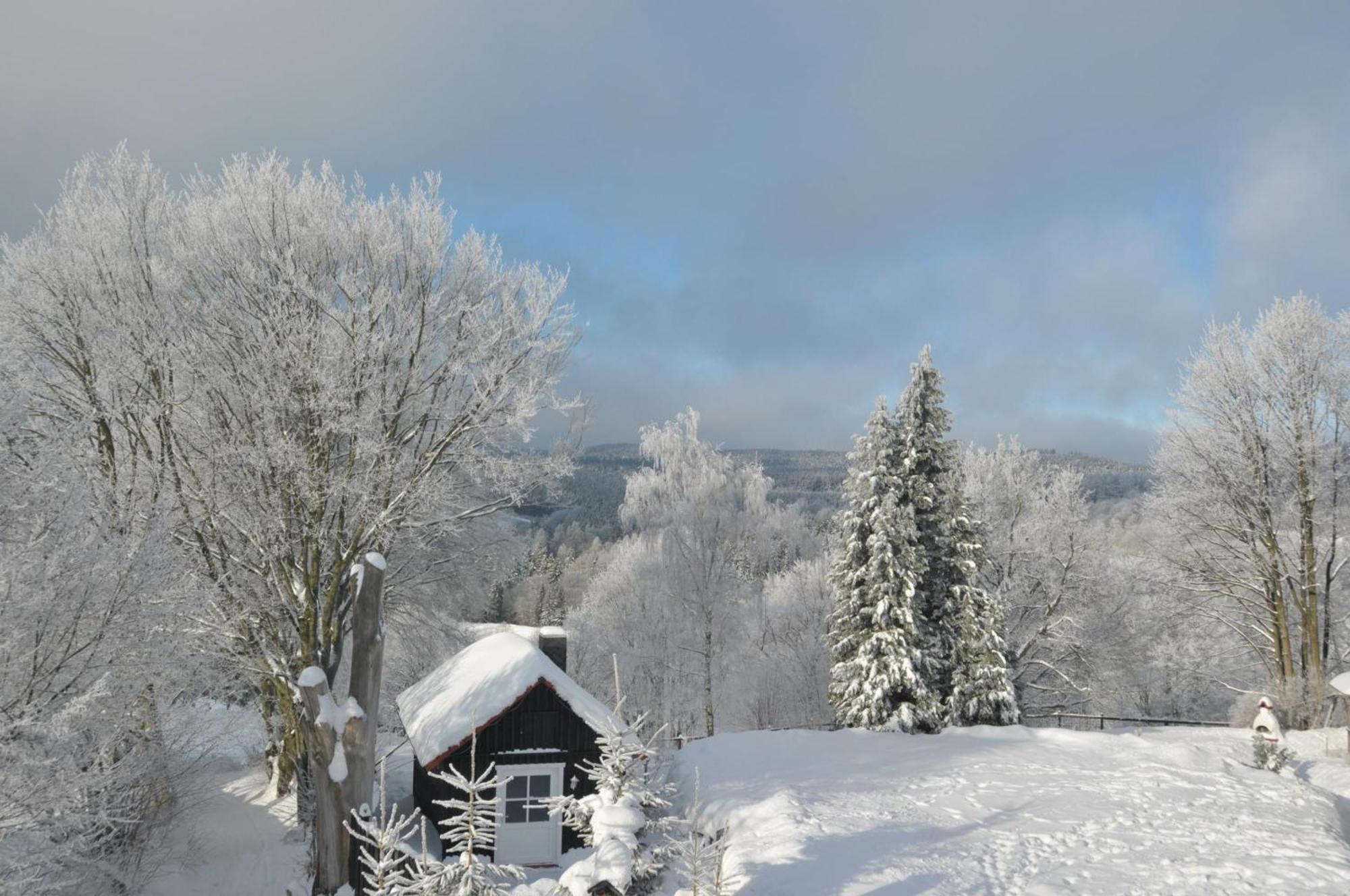 Ferienhaus Mit Spielplatz, Garten Und Fernsicht Braunlage Esterno foto